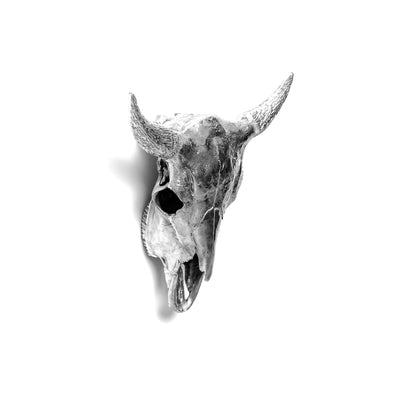 Wunderkammer Bison Skull by DEKOR - product image 4 for Resin Society