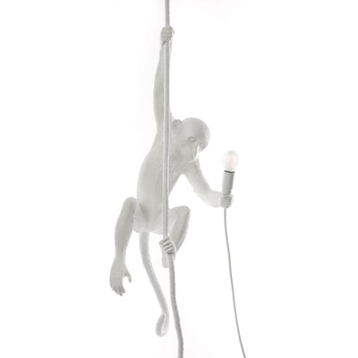 The Monkey Lamp Ceiling Version by DEKOR - main product image for Resin Society