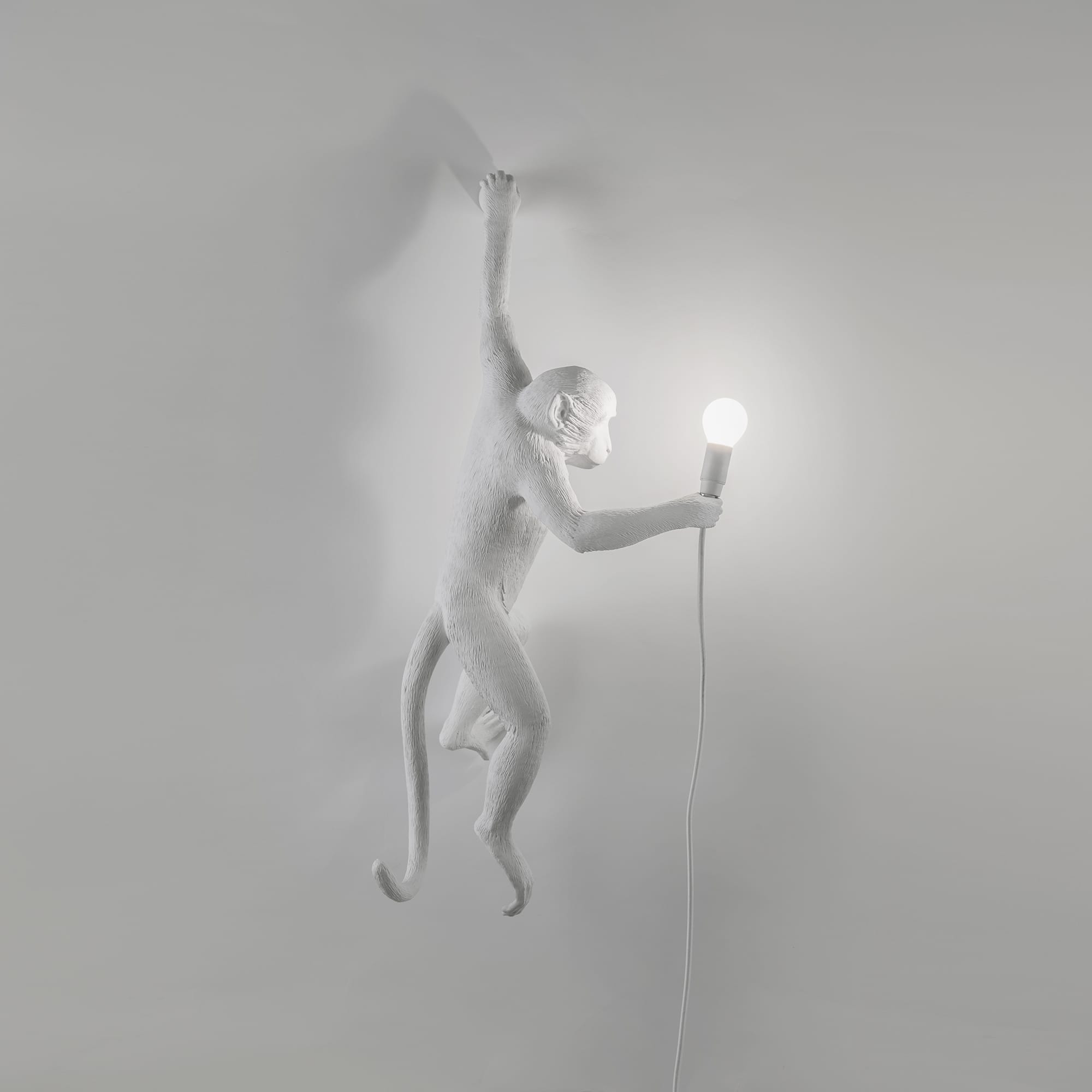The Monkey Lamp Hanging Version Left by DEKOR - product image 4 for Resin Society