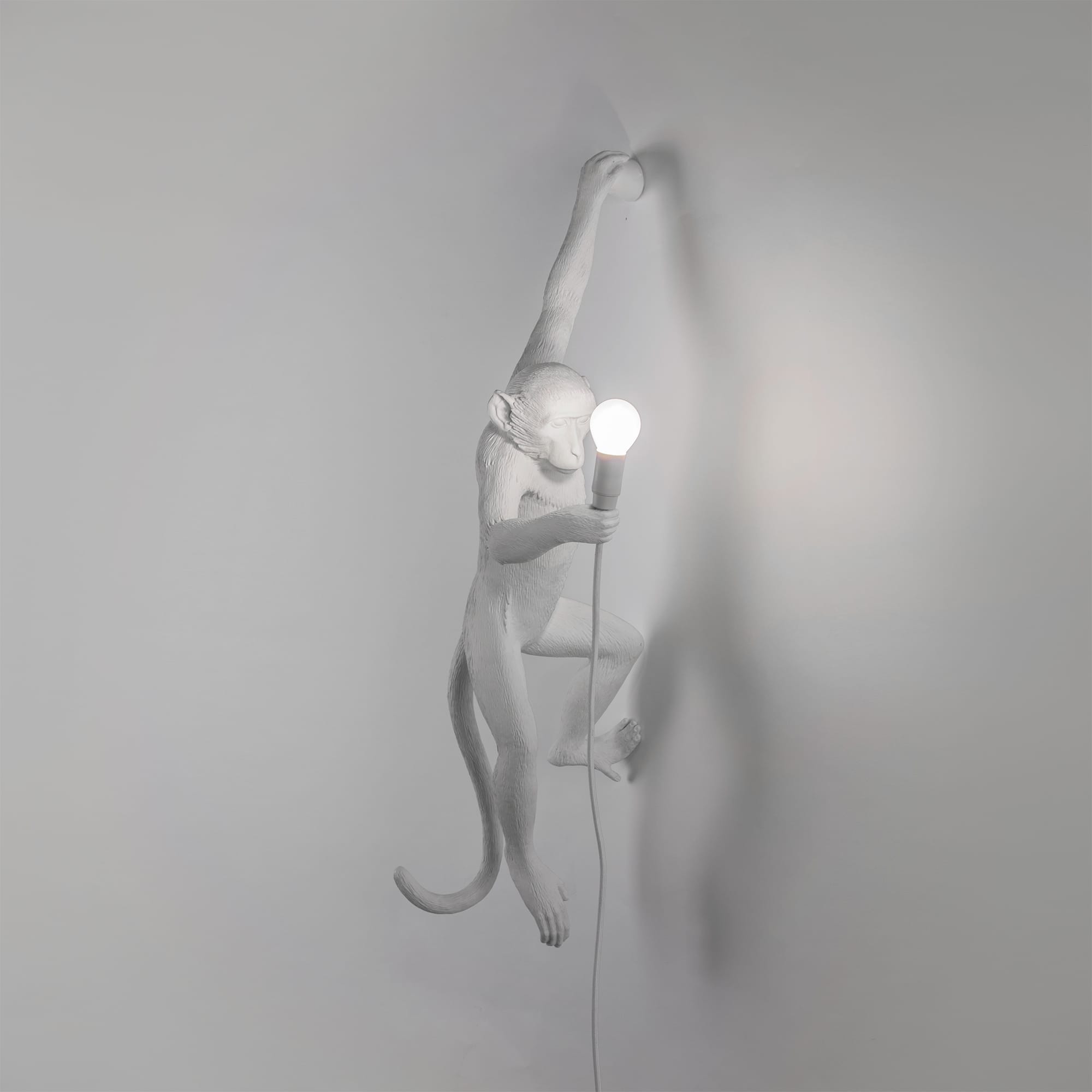 The Monkey Lamp Hanging Version Left by DEKOR - product image 2 for Resin Society