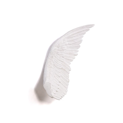Memorabilia Mvsevm Wing Right detail image - Resin Society