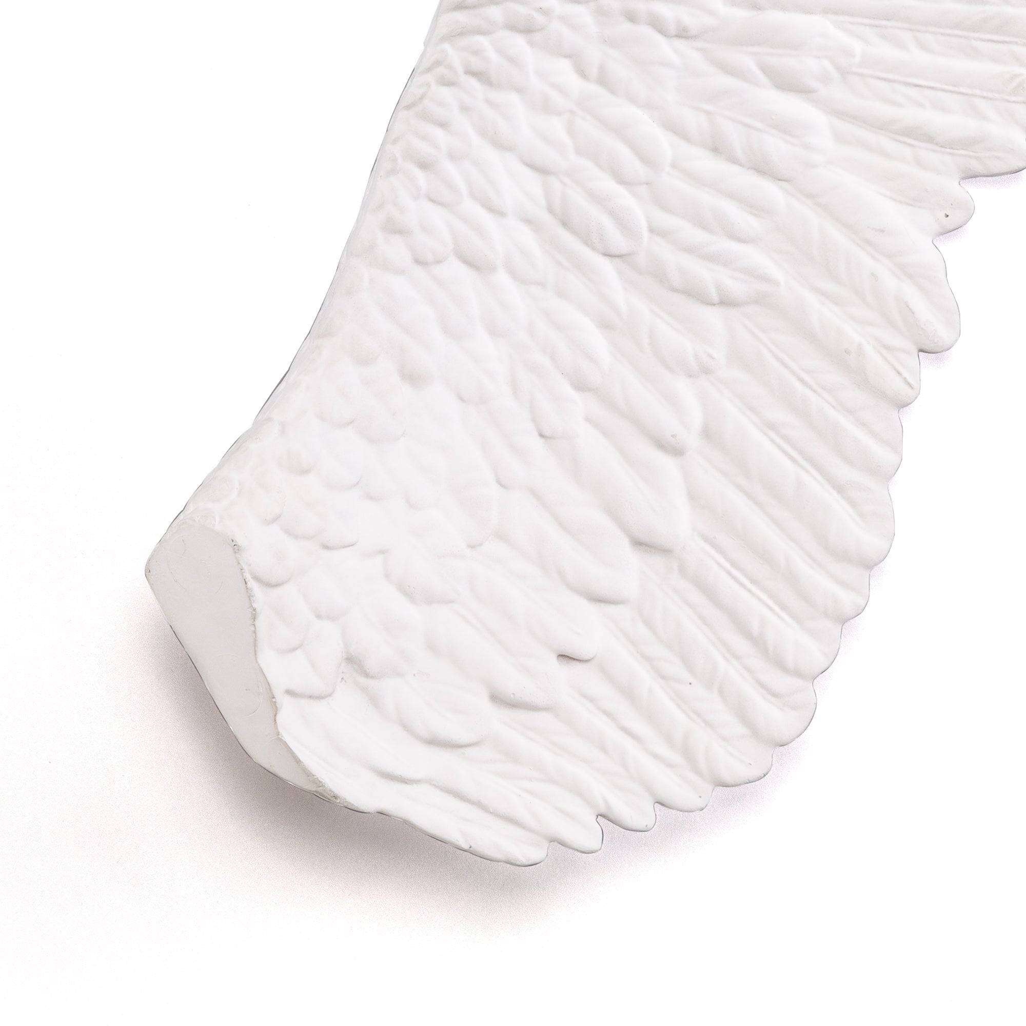 Memorabilia Mvsevm Wing Right detail image - Resin Society