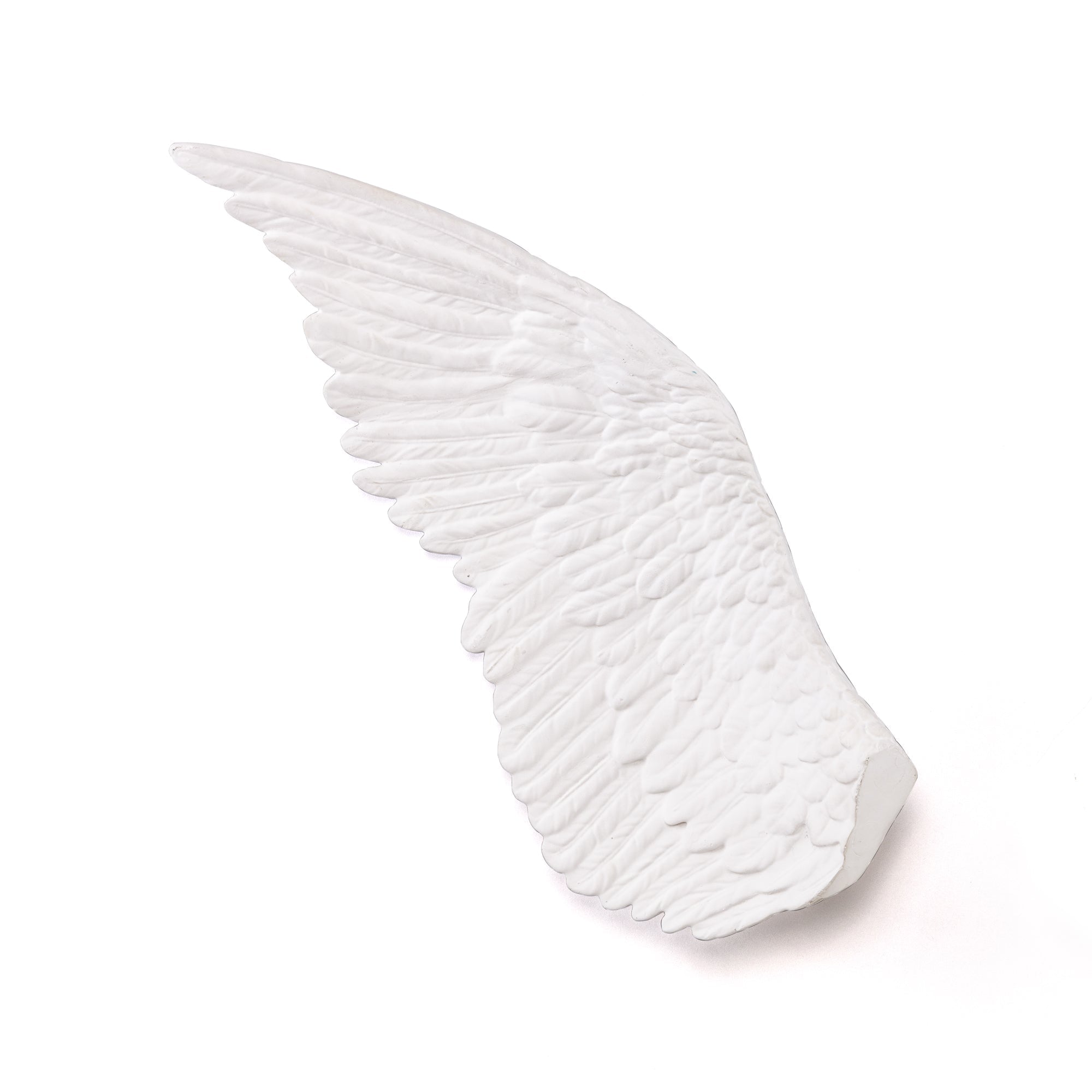 Memorabilia Mvsevm Wing Left by DEKOR - Resin Society