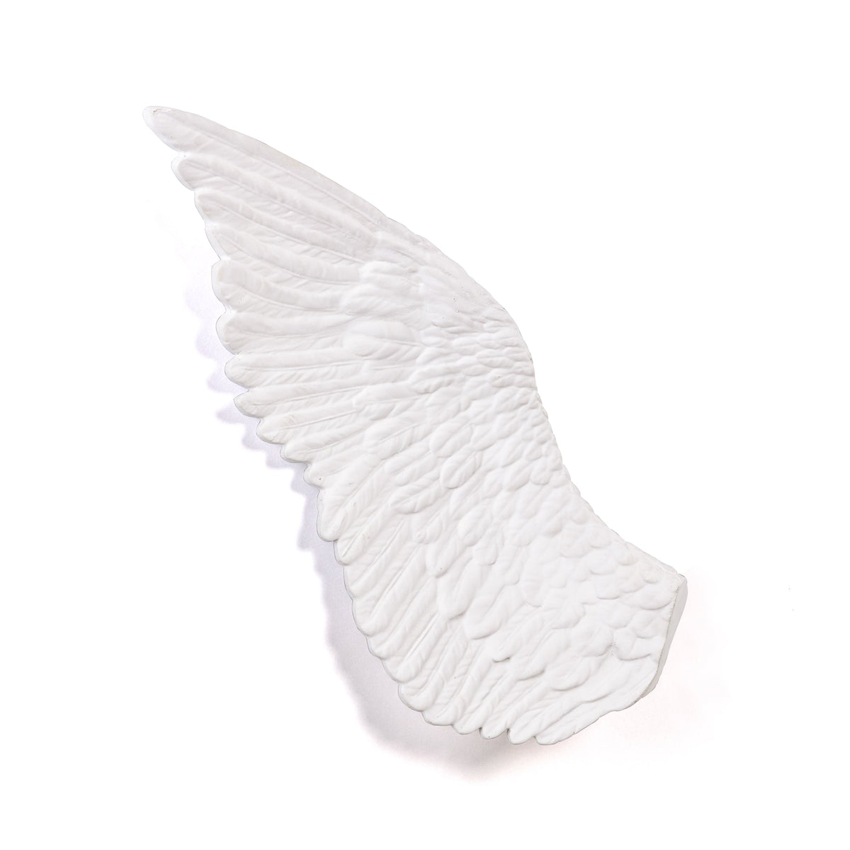 Memorabilia Mvsevm Wing Left detail image - Resin Society
