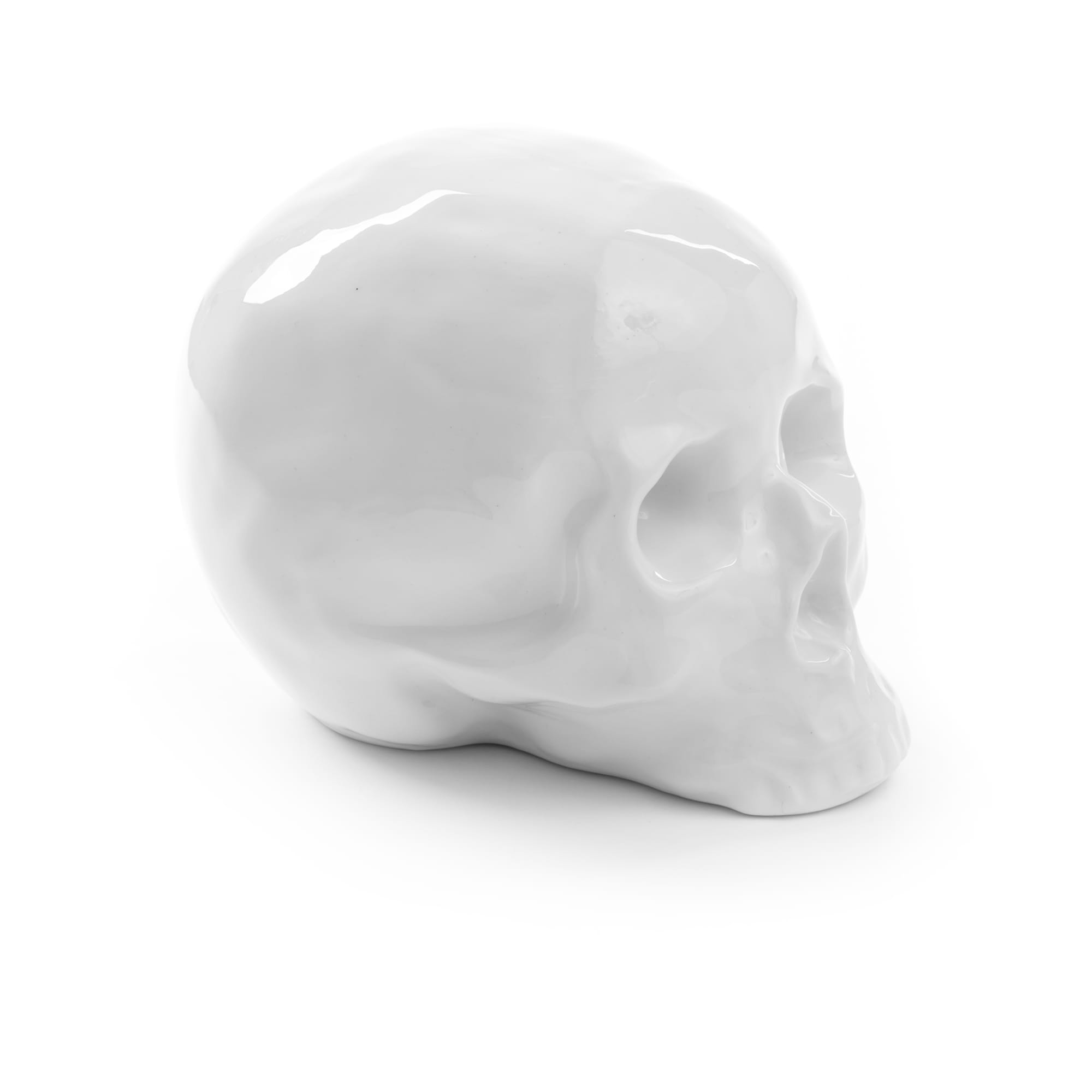 Memorabilia My Skull detail image - Resin Society