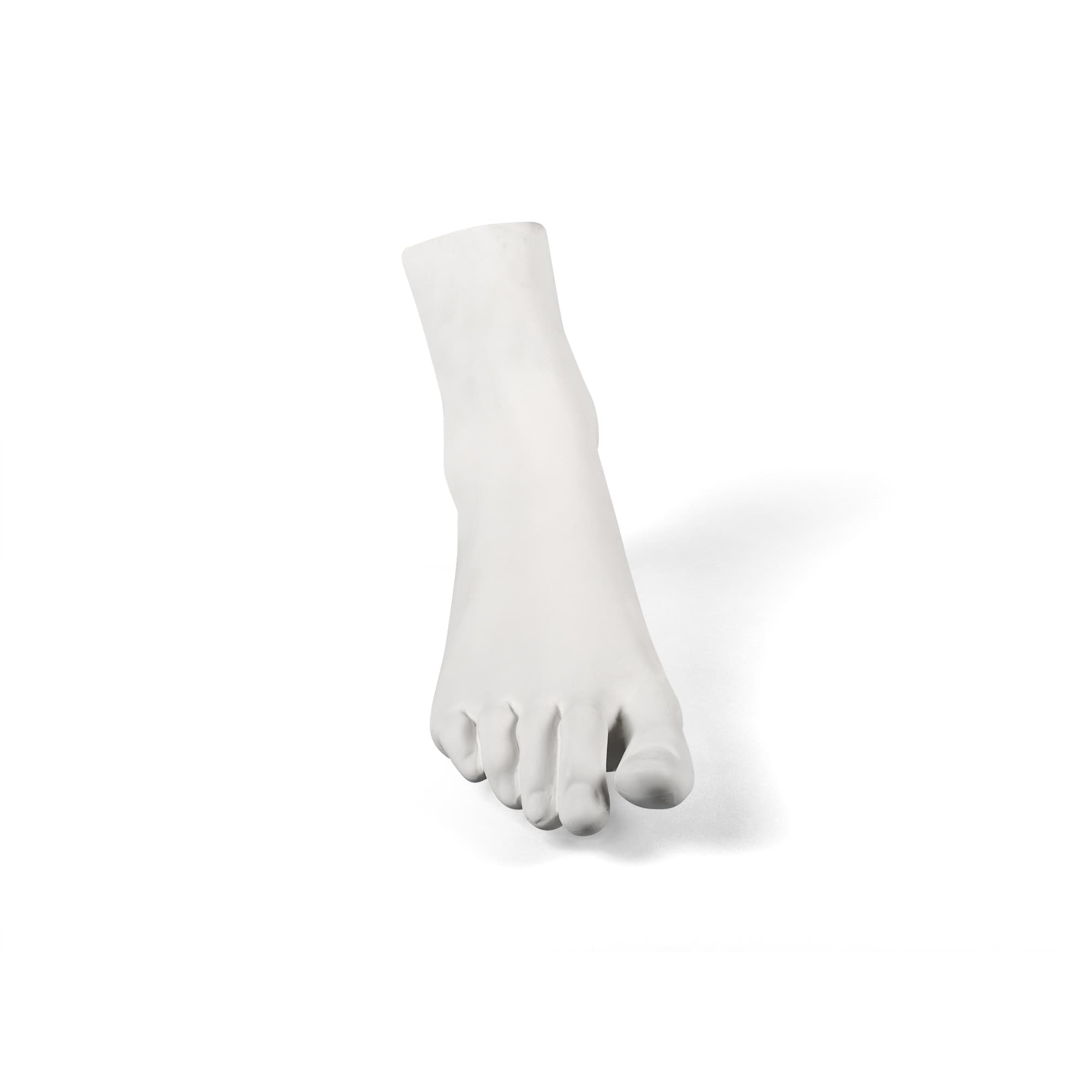 Memorabilia Mvsevm Female Foot detail image - Resin Society