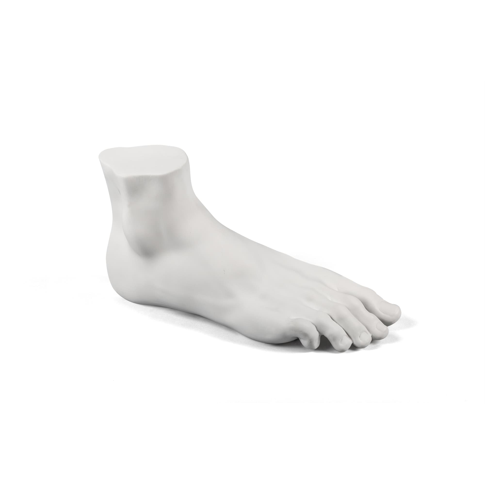 Memorabilia Mvsevm Male Foot by DEKOR - Resin Society