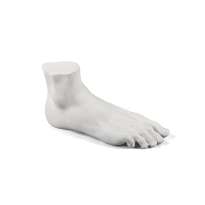 Memorabilia Mvsevm Male Foot by DEKOR - Resin Society