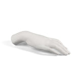 Memorabilia Mvsevm Female Hand detail image - Resin Society