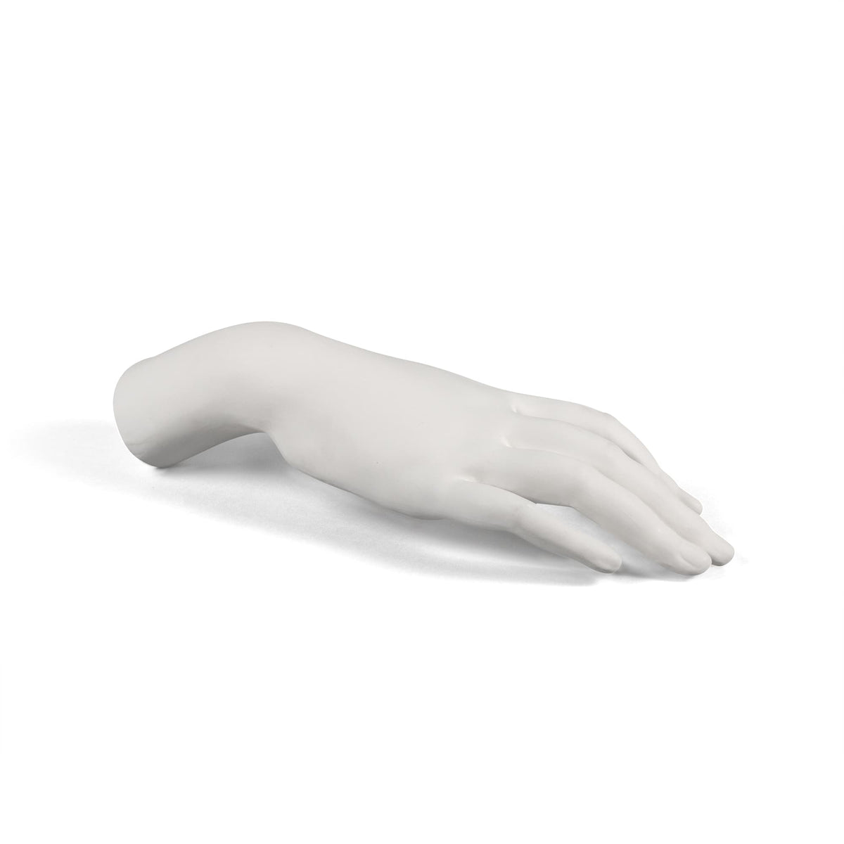 Memorabilia Mvsevm Female Hand detail image - Resin Society