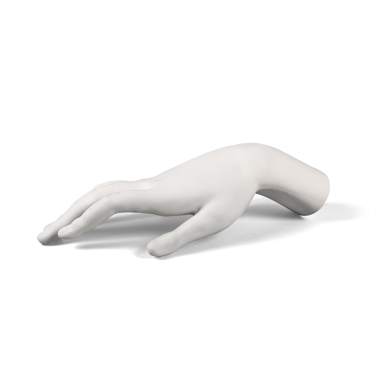 Memorabilia Mvsevm Female Hand detail image - Resin Society
