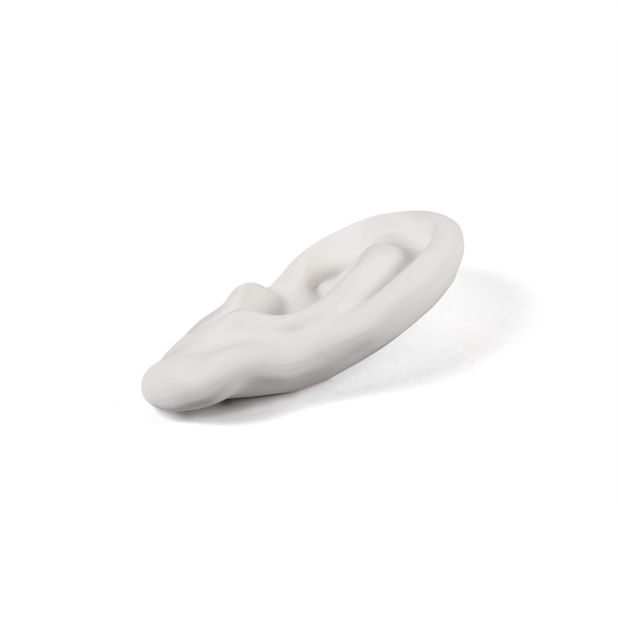 Memorabilia Mvsevm Ear detail image - Resin Society