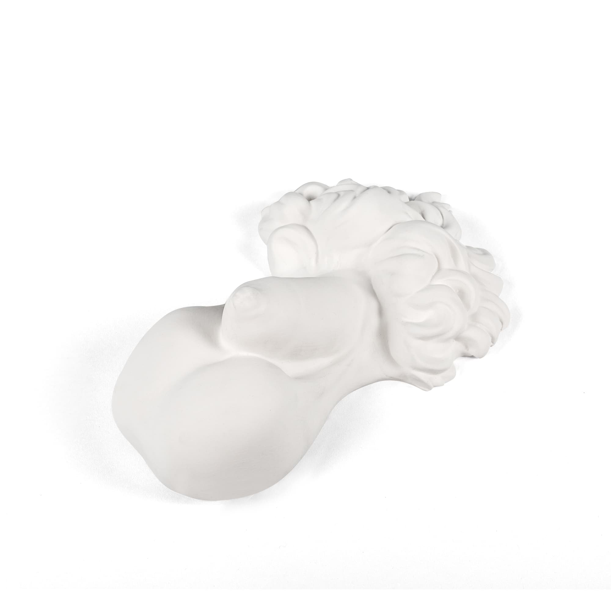 Memorabilia Mvsevm Penis detail image - Resin Society