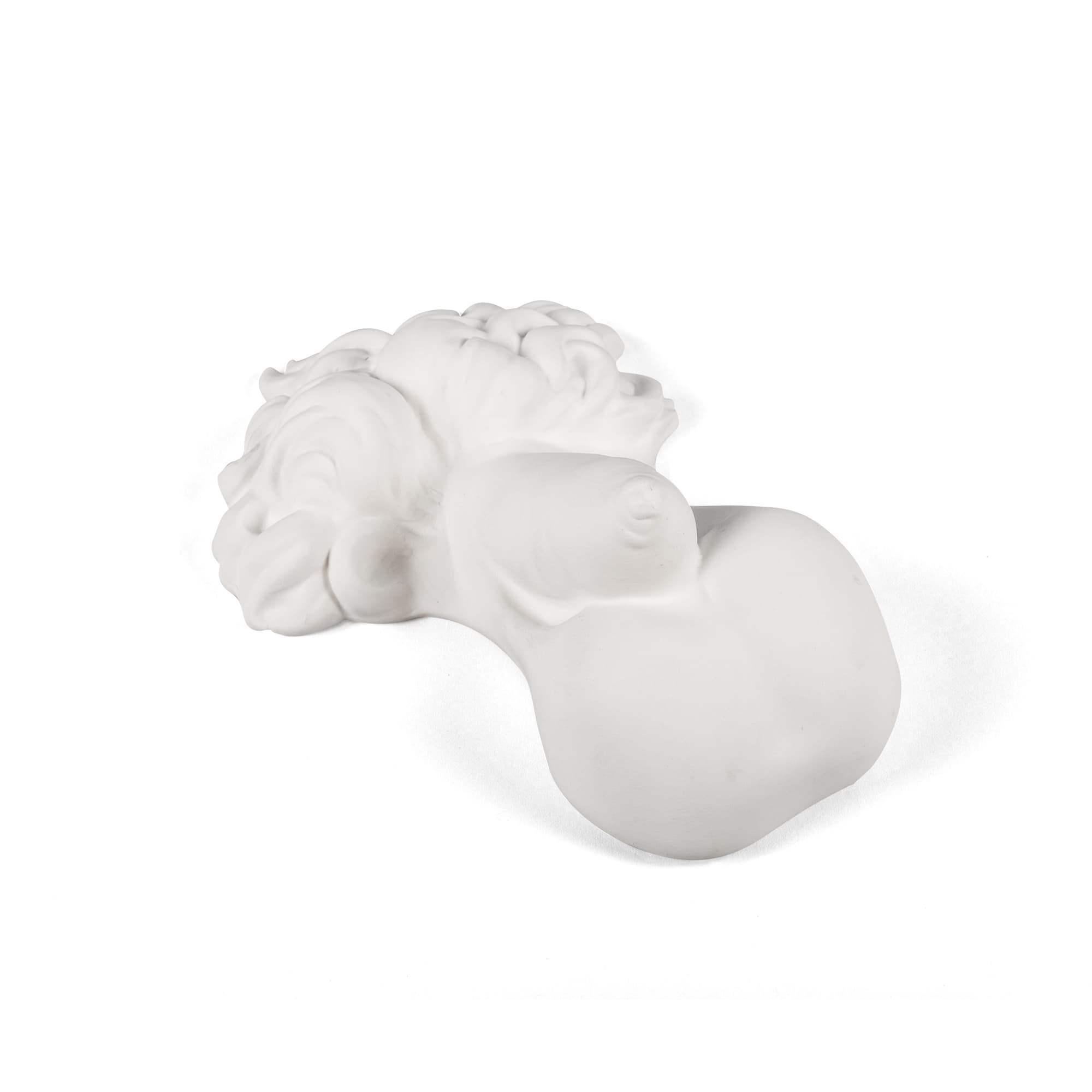 Memorabilia Mvsevm Penis detail image - Resin Society