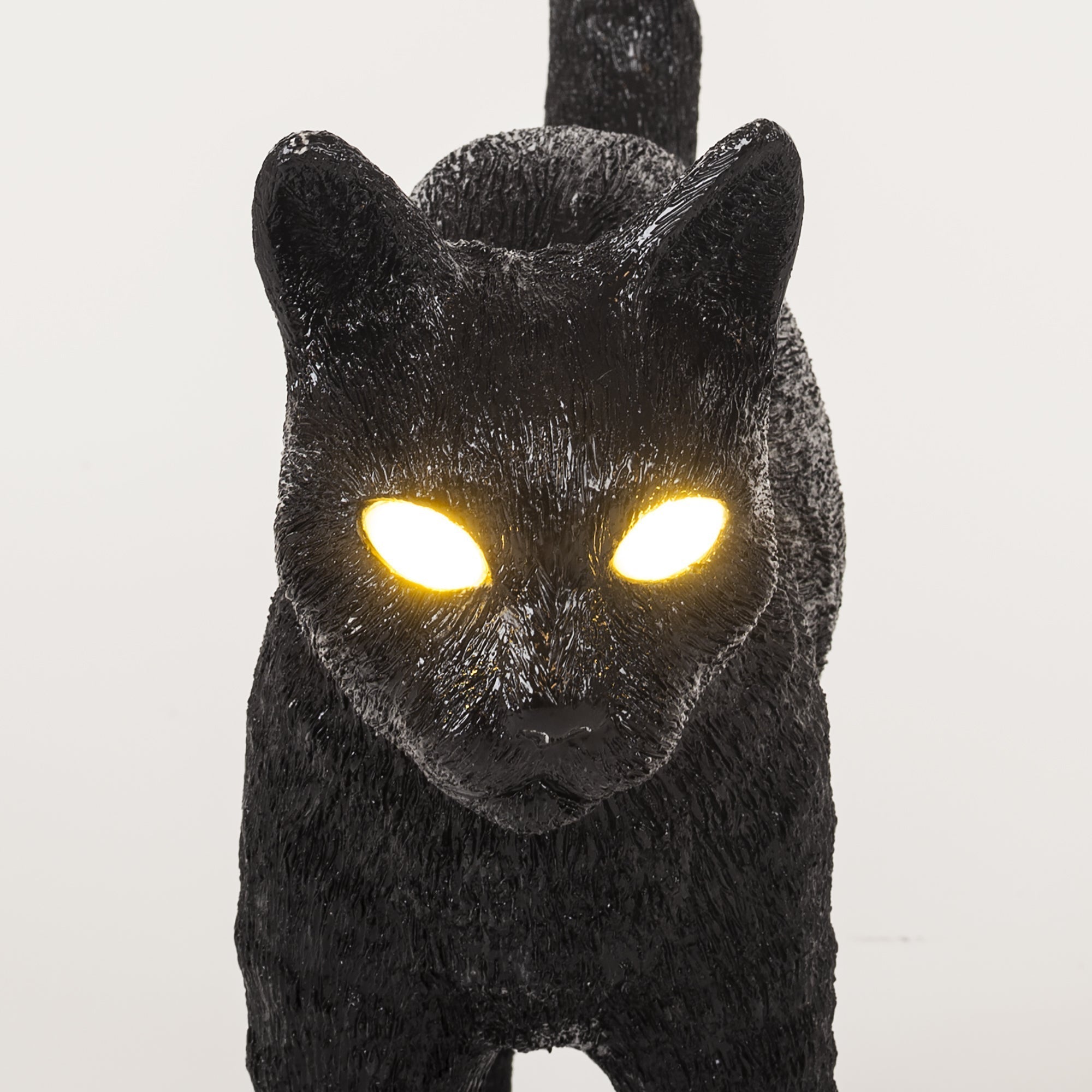 Jobby The Cat Black detail image - Resin Society