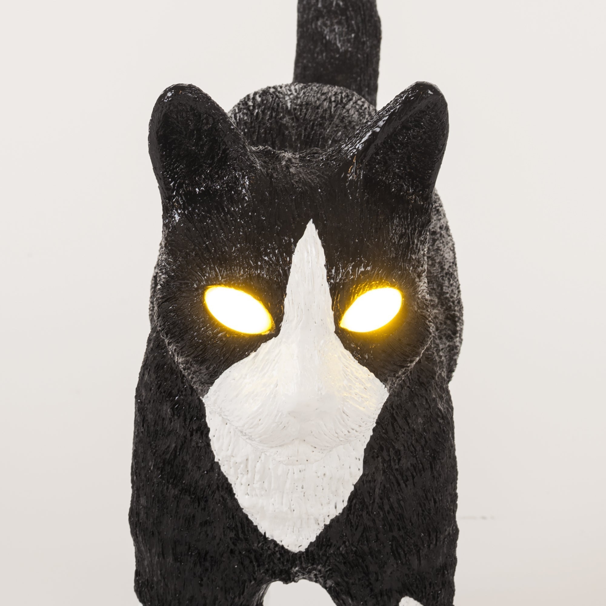 Jobby The Cat Black & White detail image - Resin Society