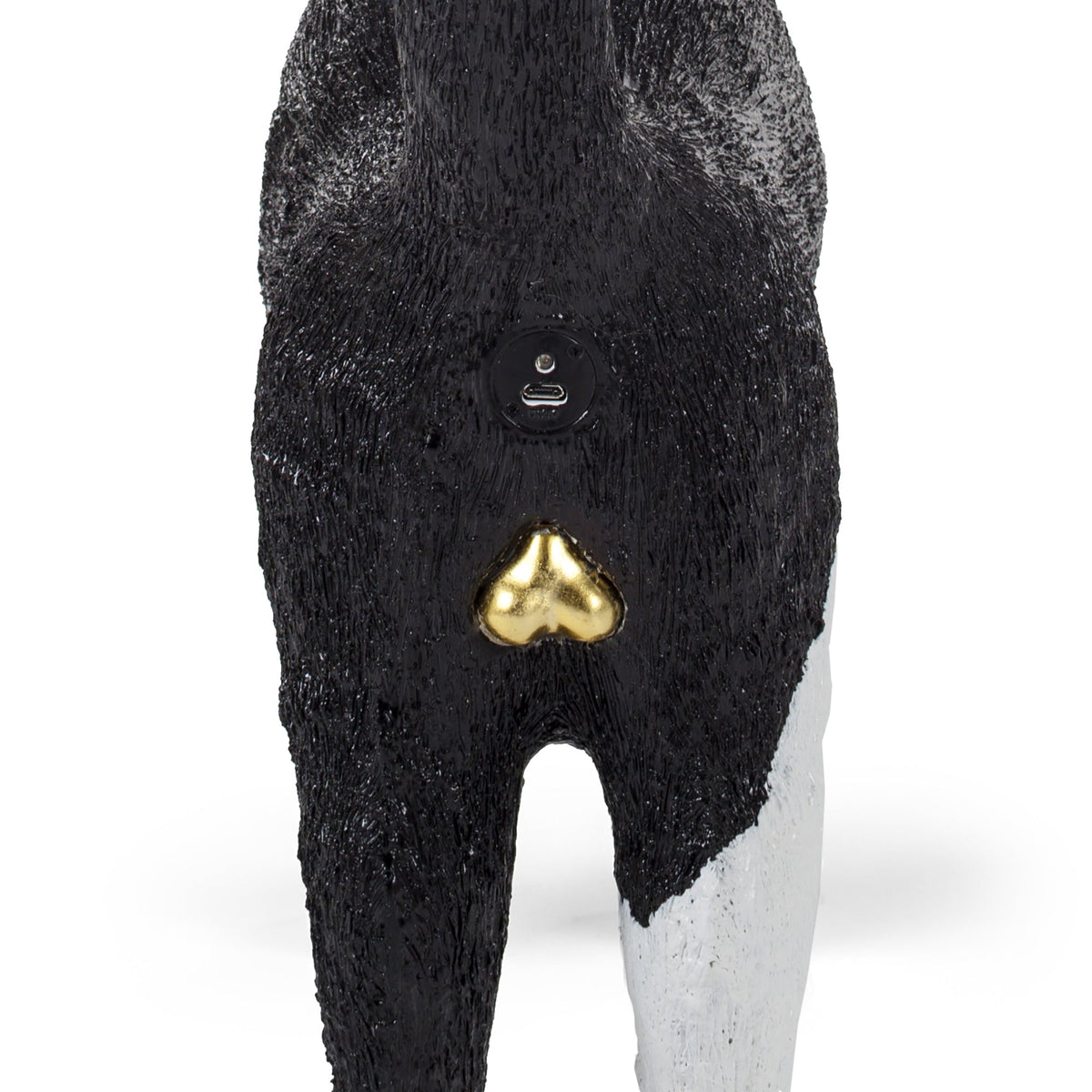 Jobby The Cat Black & White detail image - Resin Society