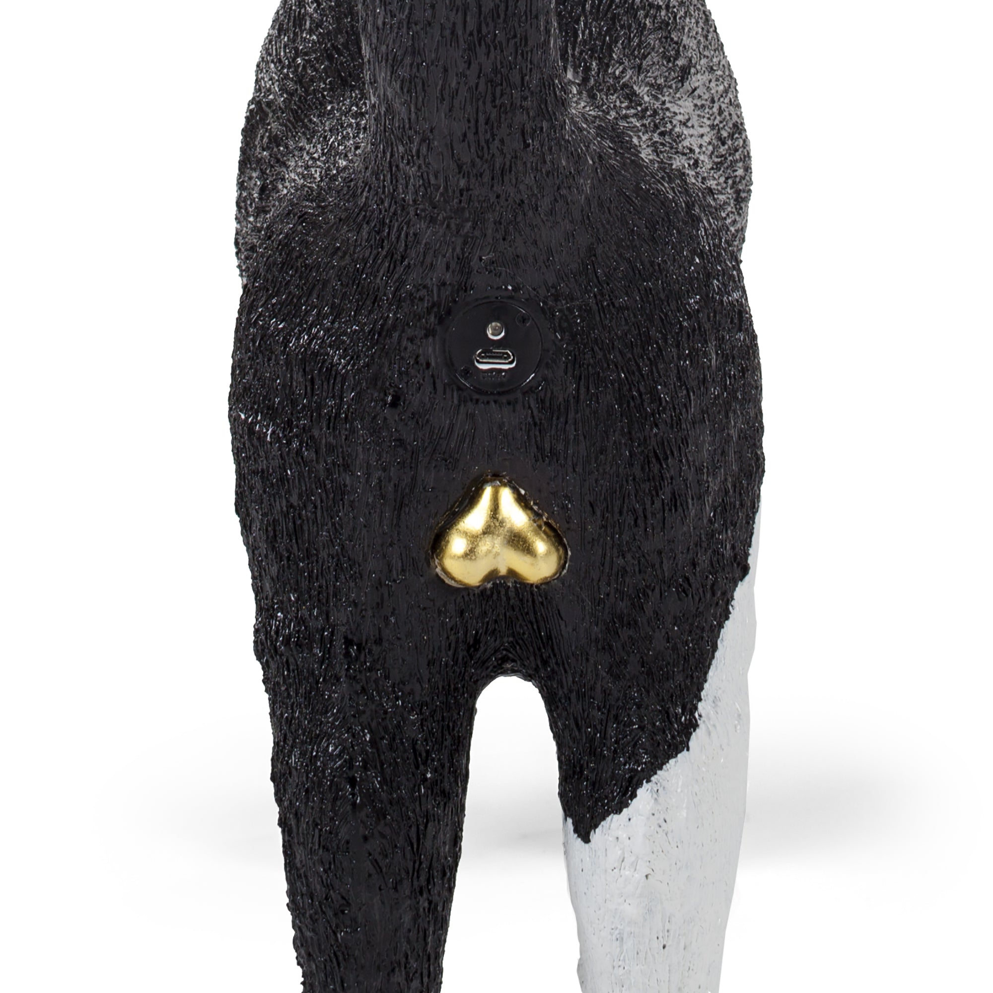 Jobby The Cat Black & White detail image - Resin Society