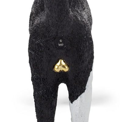 Jobby The Cat Black & White detail image - Resin Society