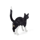 Jobby The Cat Black & White detail image - Resin Society