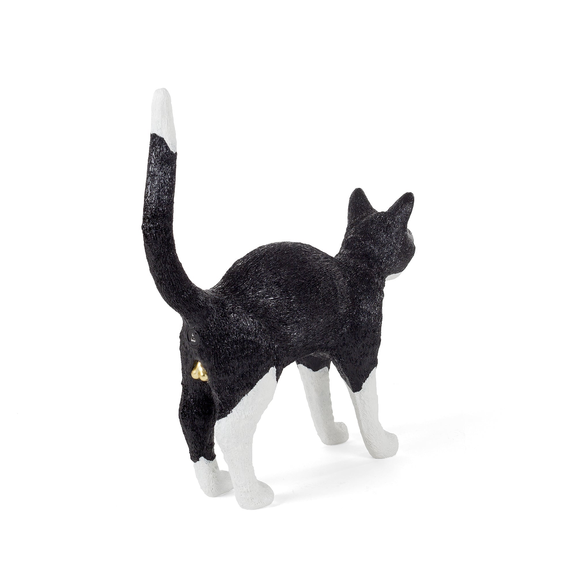 Jobby The Cat Black & White detail image - Resin Society
