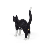 Jobby The Cat Black & White detail image - Resin Society