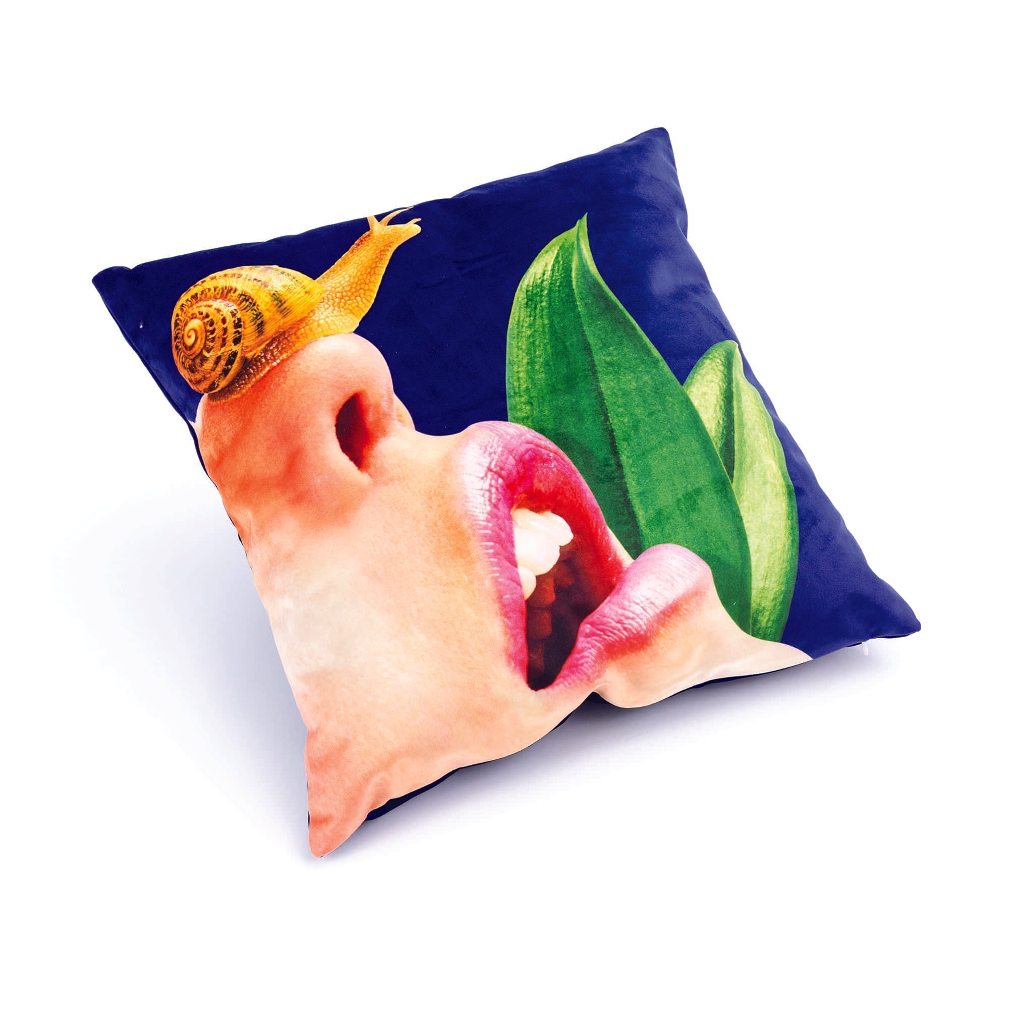 Cushion Snail detail image - Resin Society