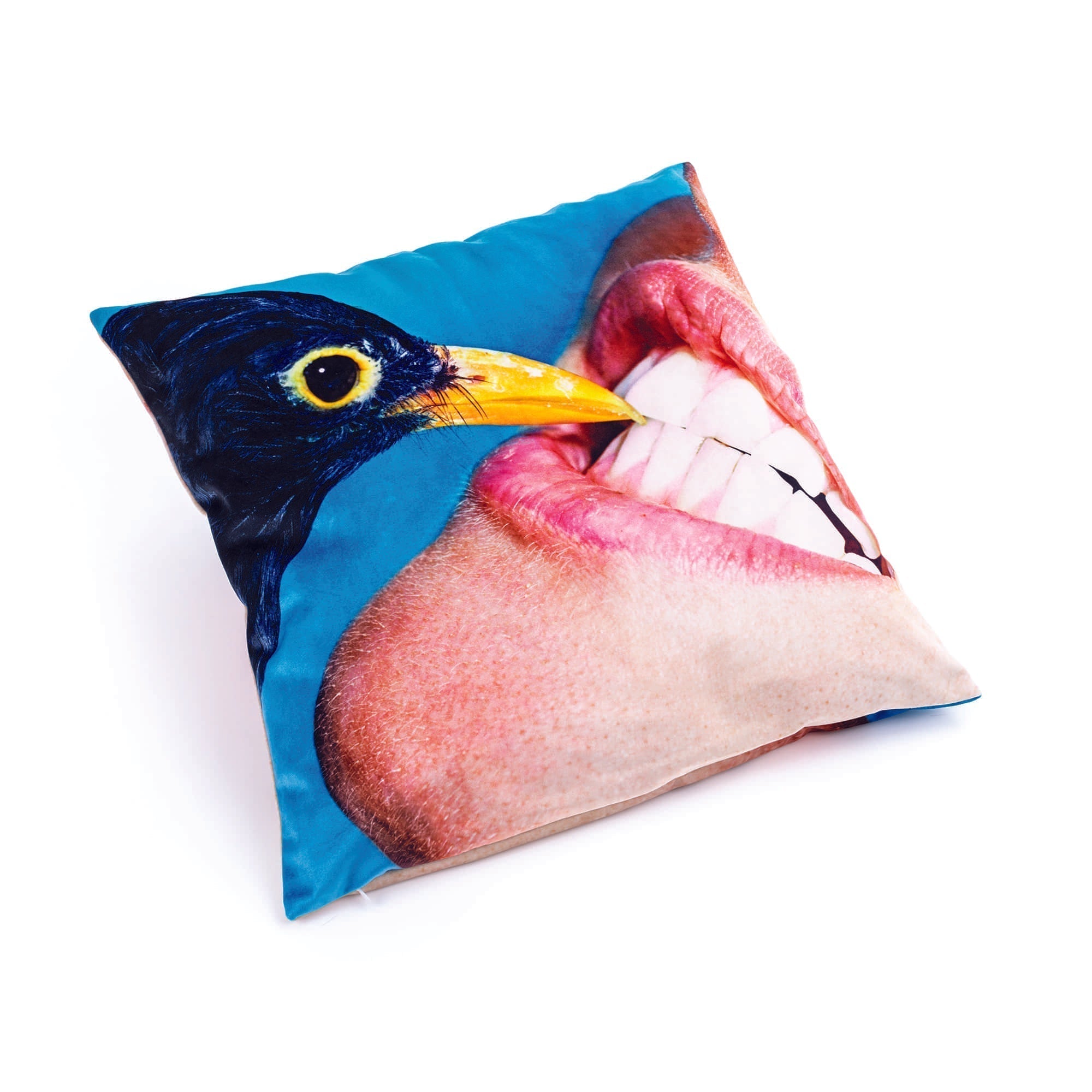 Cushion Crow detail image - Resin Society