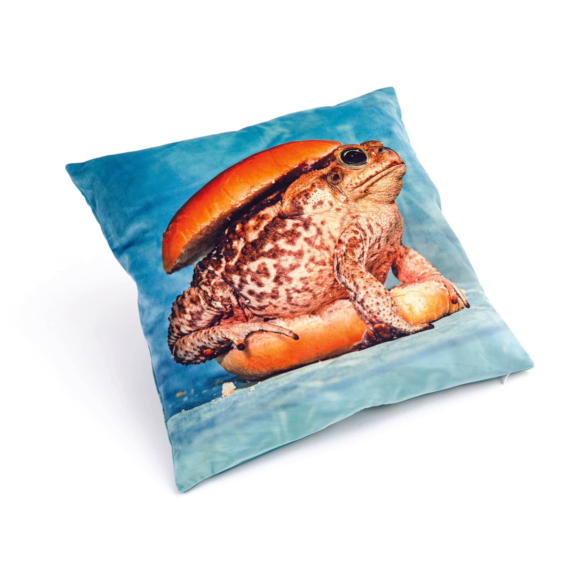 Cushion Toad detail image - Resin Society