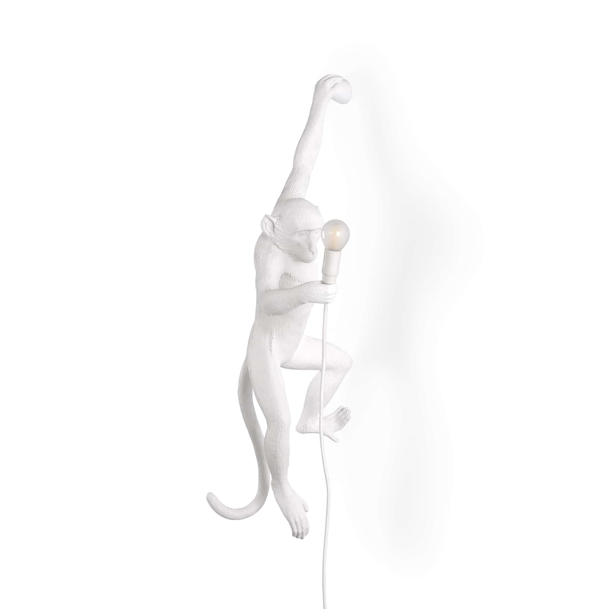 The Monkey Lamp Hanging OUTDOOR Version Left by DEKOR - main product image for Resin Society