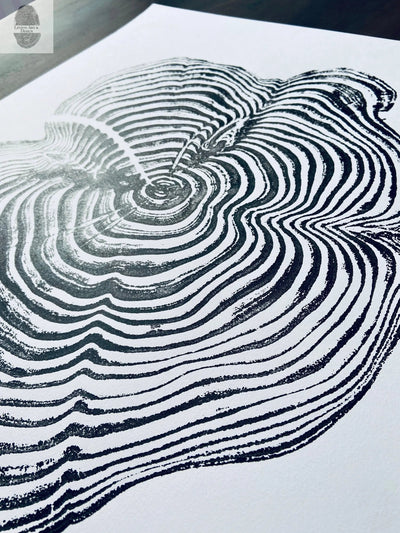18x24 woodcut print showing detail of tree rings from a Sequoia tree slice by lintonart