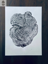 Black ink detailed print of a sequoia tree cross-section showing numerous growth rings and natural cracks on a white background.