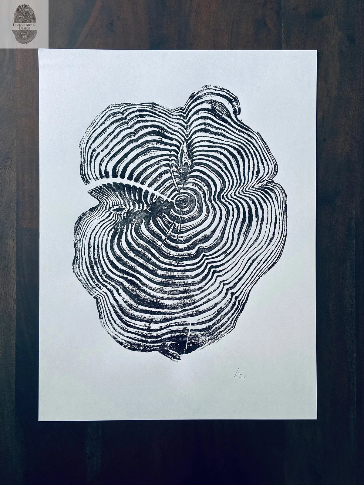 Black ink detailed print of a sequoia tree cross-section showing numerous growth rings and natural cracks on a white background.