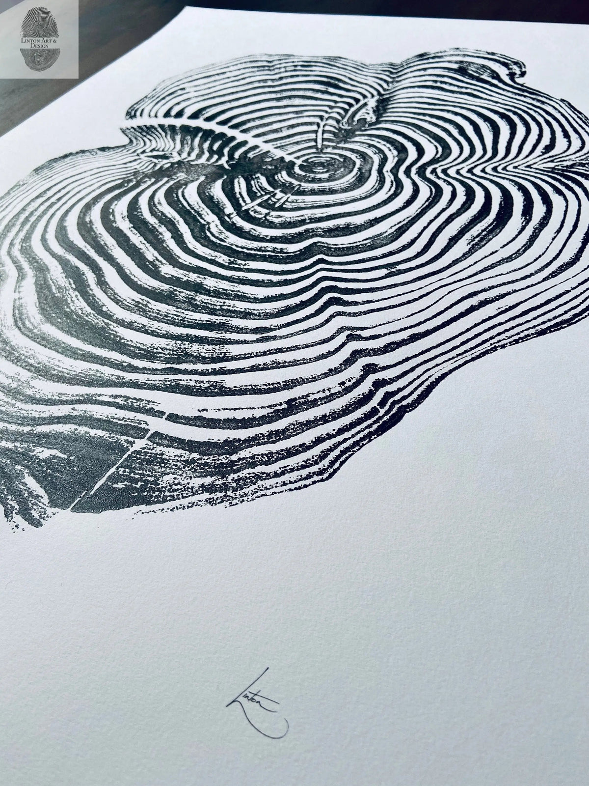 Black ink print of tree rings showing concentric growth patterns on white paper with artist's signature, photographed at an angle revealing texture and depth.