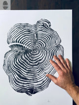 Black ink print of detailed tree rings and bark texture on white paper with a person's hand touching the right side of the print.