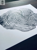 Monochrome print of detailed tree rings on white paper, laid flat on a dark wooden surface with soft natural lighting from the side.