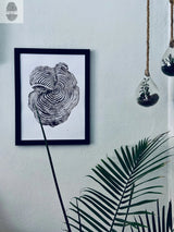 Black and white framed print of Sequoia tree rings on light gray wall, with hanging glass terrariums and a green palm leaf in foreground.