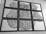 Nine framed black-and-white prints arranged in a 3x3 grid forming a detailed cross-section of a Massachusetts Big Leaf Maple tree's rings and texture.