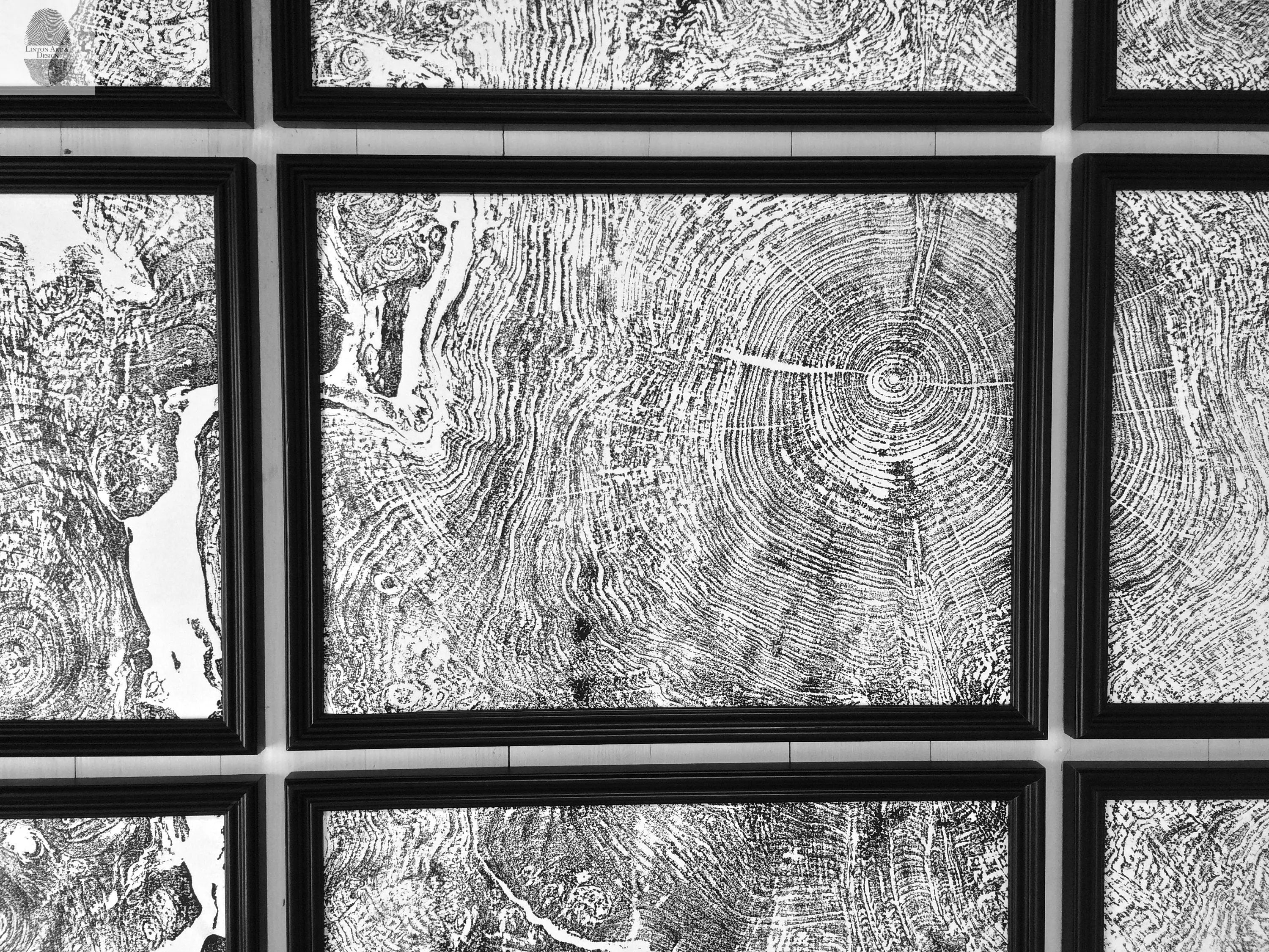 Set of 9 Prints, Tree Ring Art, Massachusetts Big Leaf Maple Tree, 12x16 Each