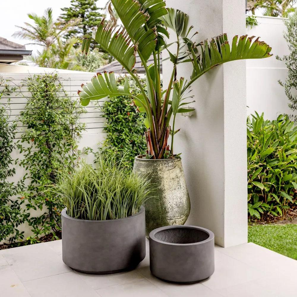 Shoob Cylindrical Planter - The Balcony Garden US