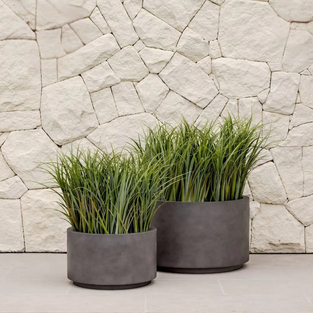 Shoob planter in white with round smooth cylindrical shape elevating greenery