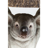 Close-up front view of a detailed koala face with textured gray fur and large nose, holding a textured brown branch above its head.