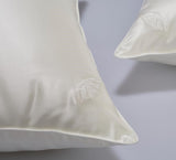 Silk pillow with silk shell by Perle Silk - product image 2 for Resin Society