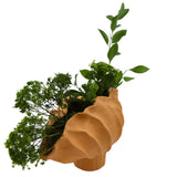 Terracotta-colored vase shaped like a seashell with green leafy plants and curly parsley sprigs arranged inside, displayed on a white background.