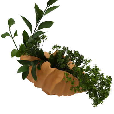 Sirene Shell Vase by Ro'Table - product image 6 for Resin Society
