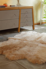 Six Piece Sheepskin Area Rug by Homelosophy