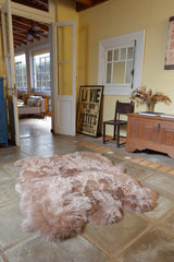 Six Piece Sheepskin Area Rug by Homelosophy