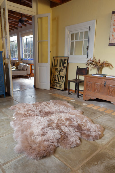 Six Piece Sheepskin Area Rug by Homelosophy