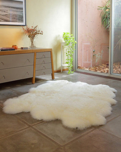 Six Piece Sheepskin Area Rug by Homelosophy