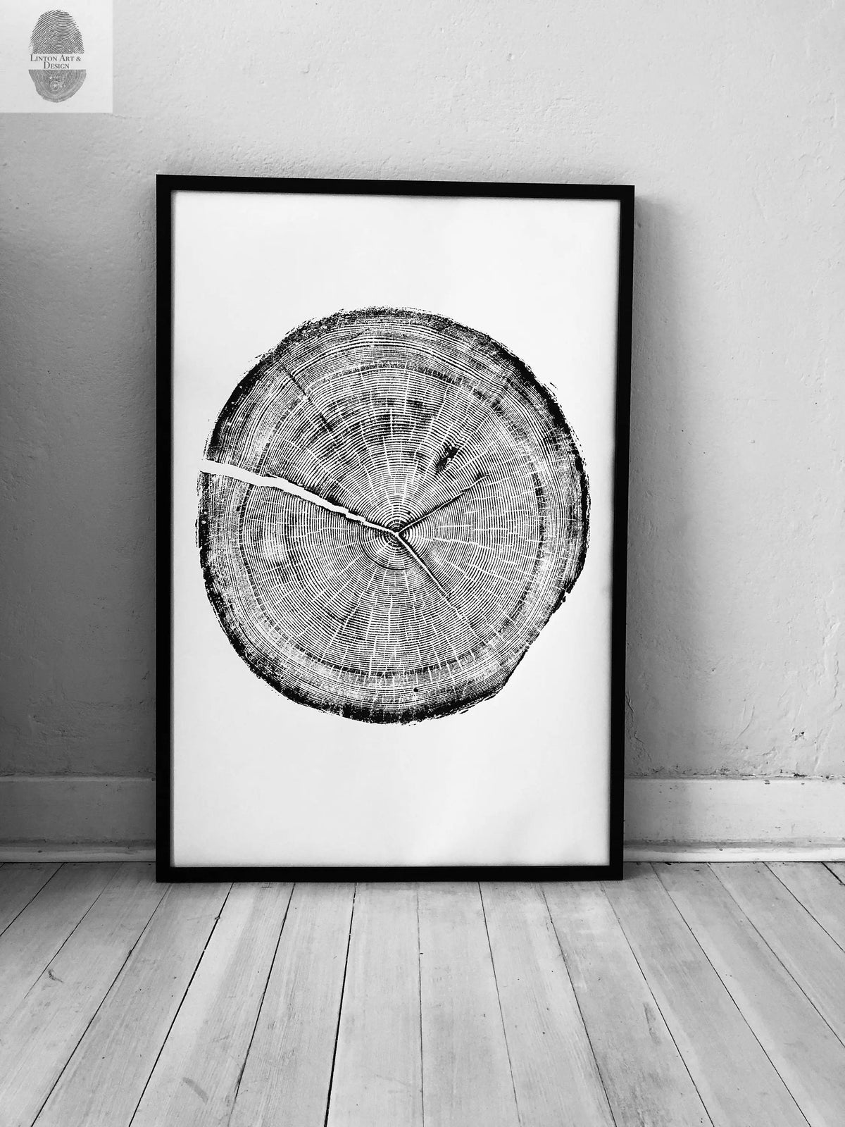 Black and white print of a Douglas Fir tree cross-section with visible growth rings and cracks, framed in black and leaning against a textured wall on wood floor.
